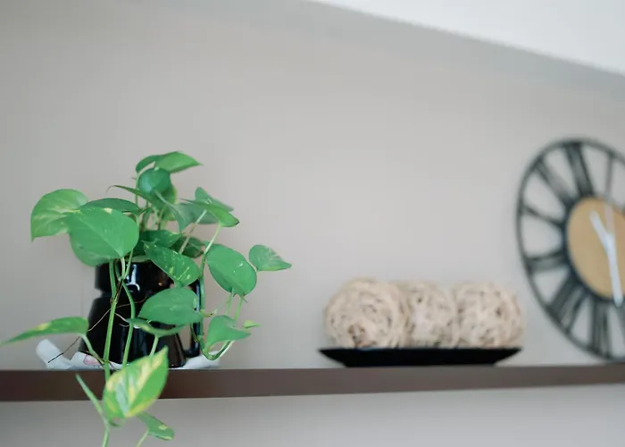 Apartment Cozy And Spacious 2br At The Infinity Bgc Near Sm Aura And Bonifacio High Street